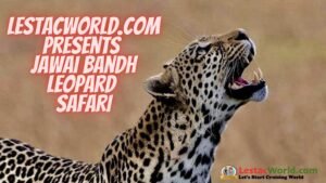 Is it worth visiting Jawai ?