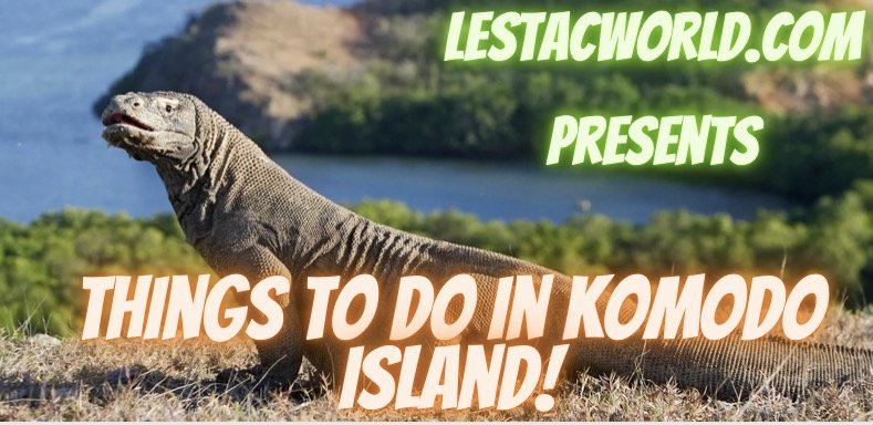 What are the things to do in Komodo Island Indonesia?