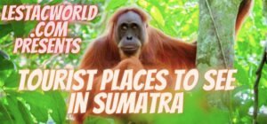 Places to see in Sumatra