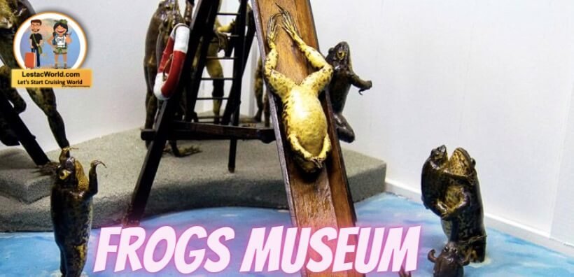 Frog's Museum, Dimitrov
 Famous places in Dimitrov to see 