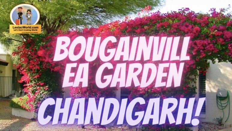 Safe places to Visit/see in Chandigarh in (2021)
