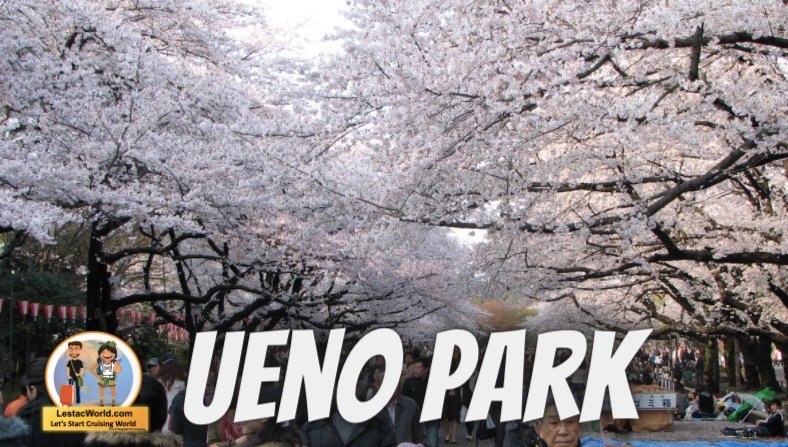 Famous Places to go in Tokyo ?