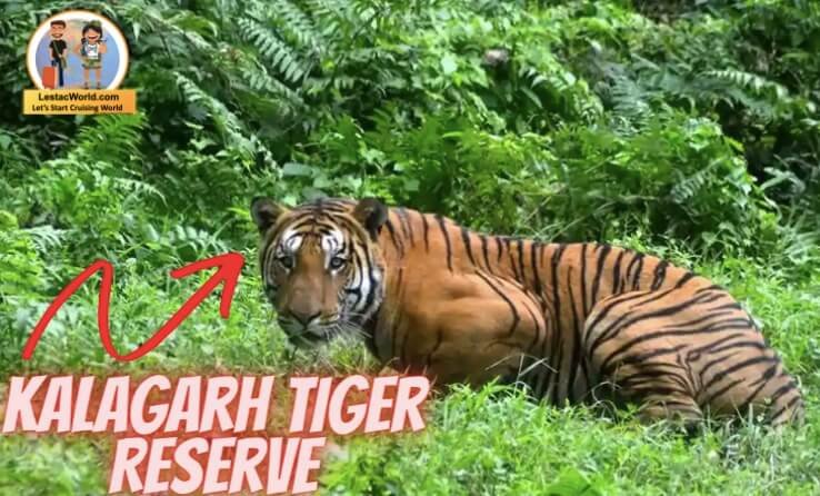 What are the places to visit in Lansdowne ?