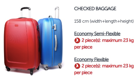 Check in Baggage from India to Canada