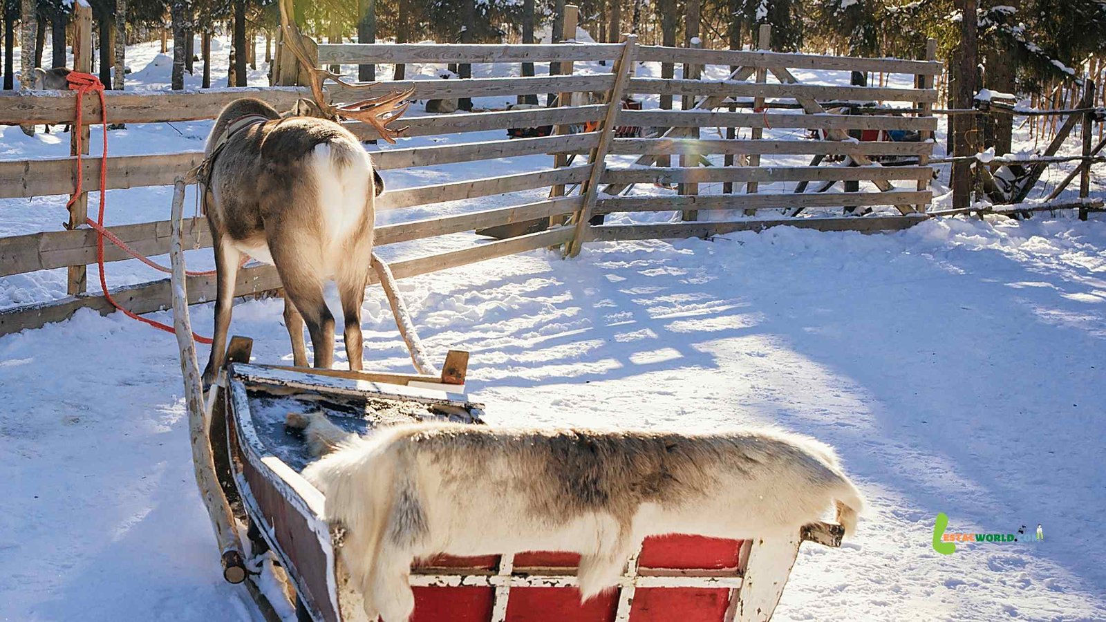 Our Finland tour from India