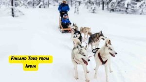 A thrilling Husky ride through the snowy landscapes of Finland, an adventure to consider when planning your Christmas 2024 tour from India.
