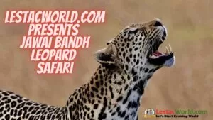 Is it worth visiting Jawai ?