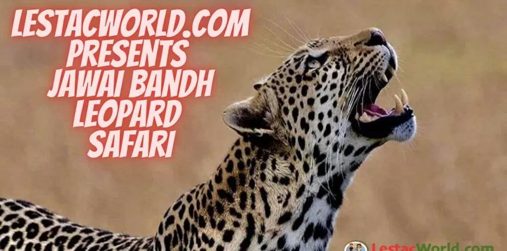 Is it worth visiting Jawai ?