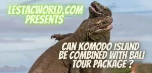 Can Komodo Island be combined with Bali?