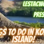 What are the things to do in Komodo Island Indonesia?