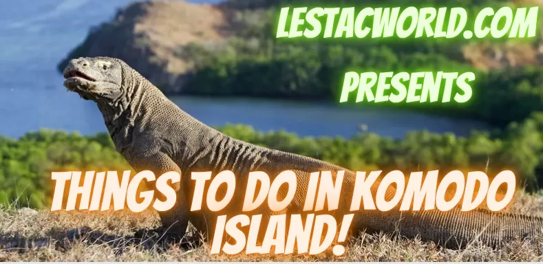 Things to do in Komodo Island ?