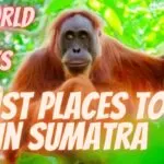 Tourist places to see in Sumatra Island Indonesia ?