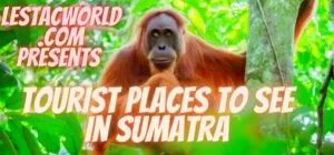 Places to see in Sumatra