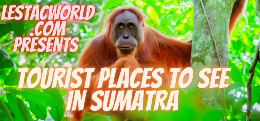 Places to see in Sumatra