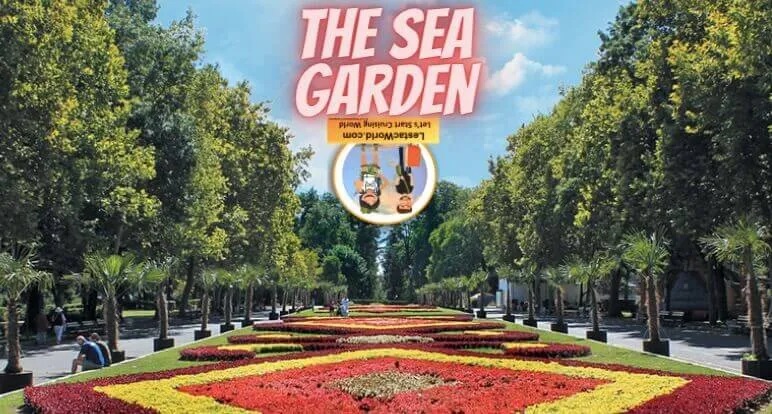 The Sea Garden 