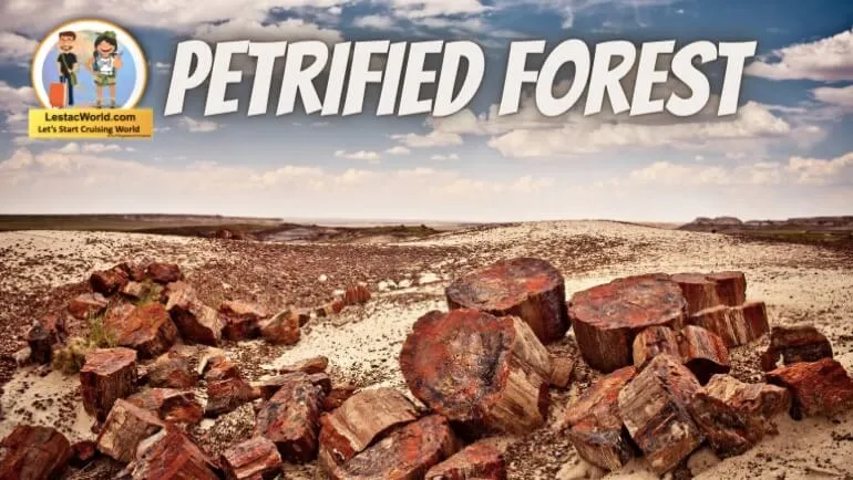Petrified Forest