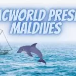 Top best resorts for Honeymooners in Maldives ?