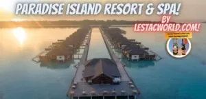 Paradise island resort & SPA!