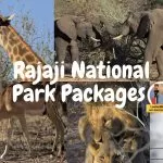 Rajaji National park Packages