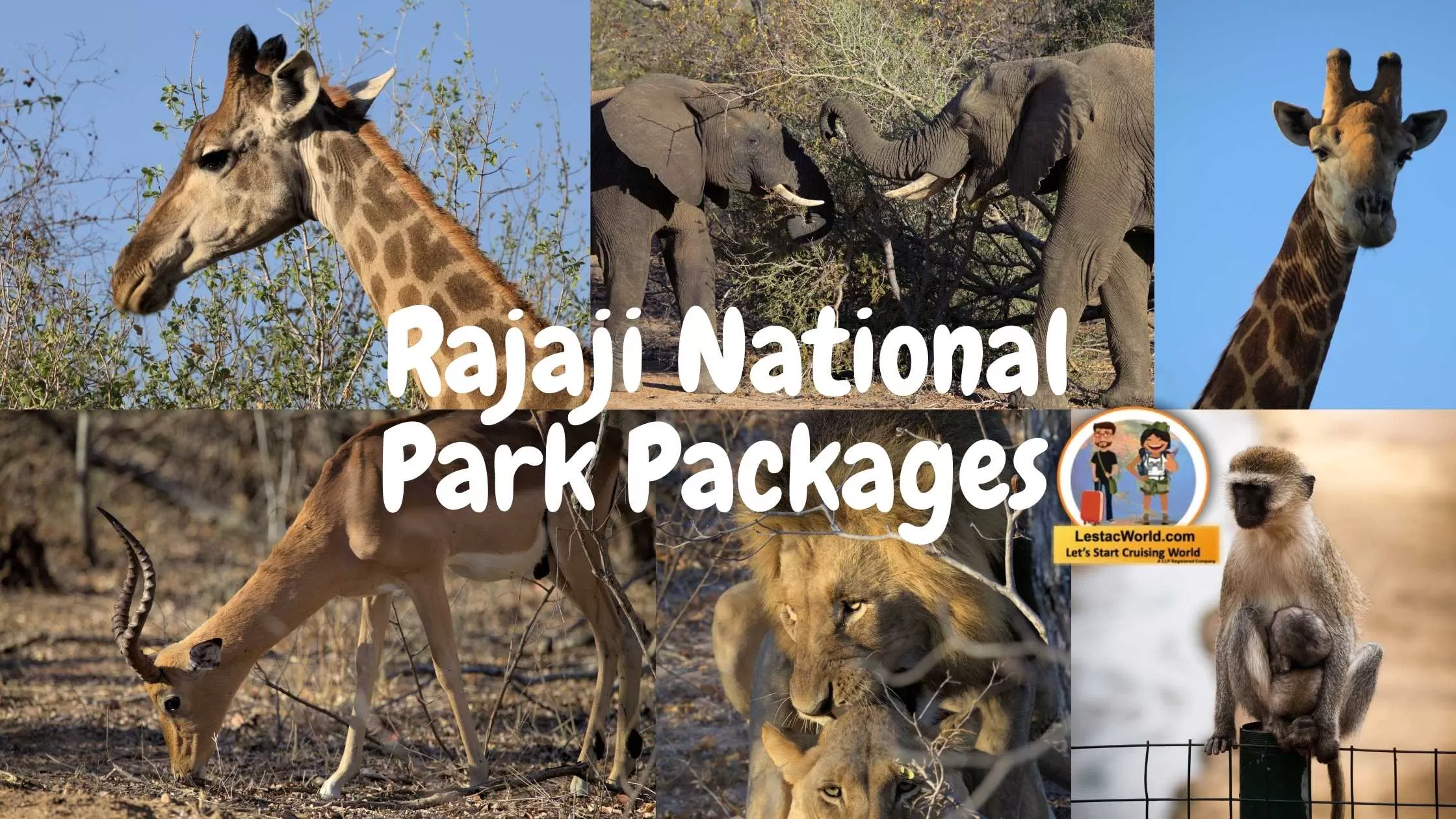 Rajaji National park Packages