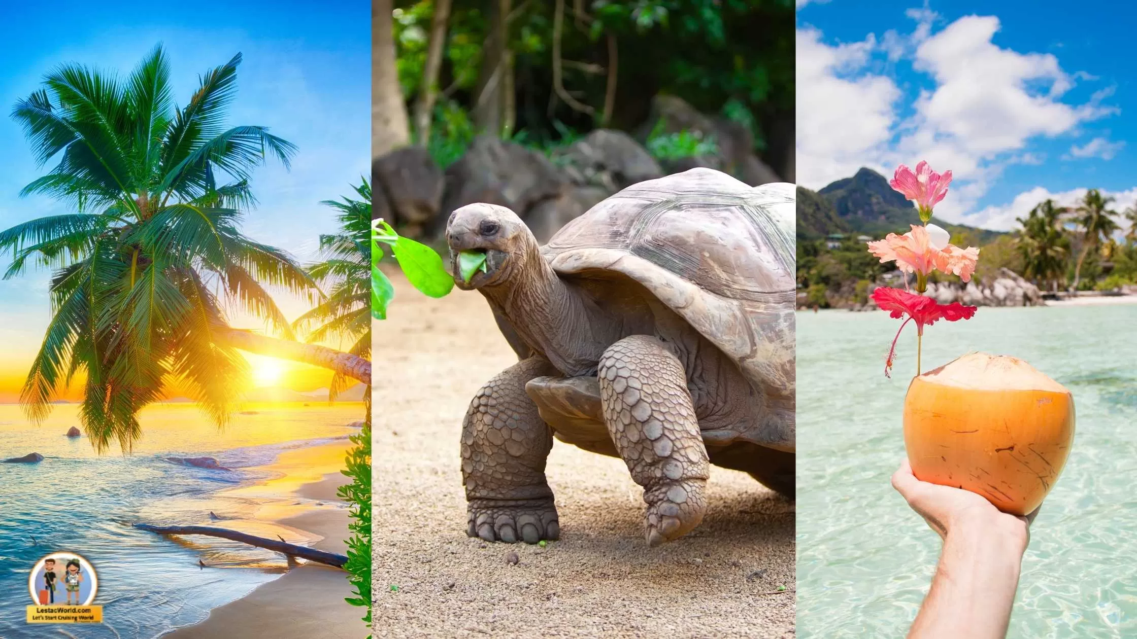 Seychelles Cab from Mahe Airport to Hotel