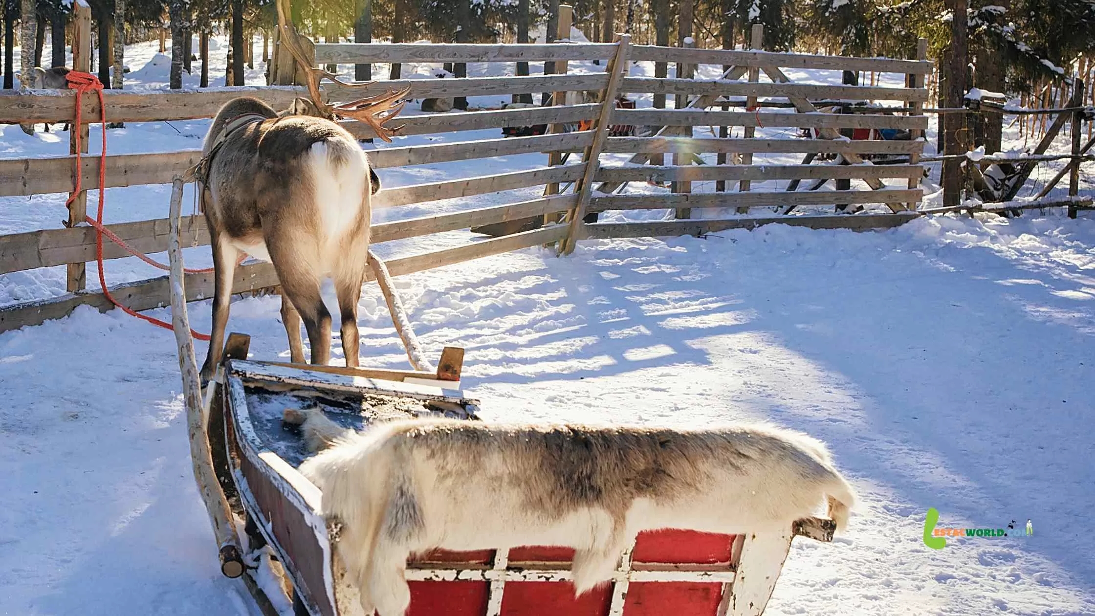 Our Finland tour from India