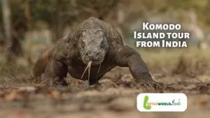 Komodo Island tour from India