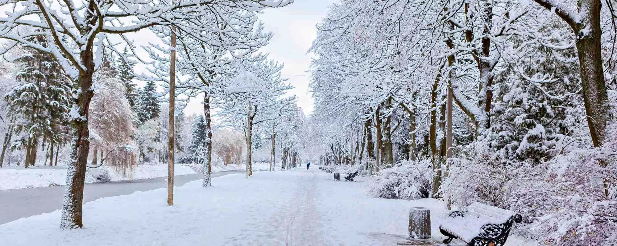 Snowfall Surges Tourism in Aharbal Kashmir's Hidden Gem Shines